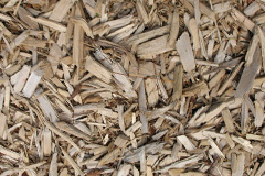 biomass boilers The Tynings